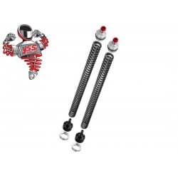 Κιτ Αναβάθμισης Πιρουνιού Honda GTR 150 YSS